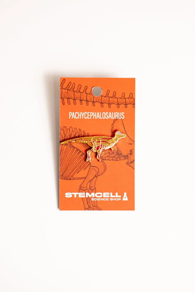 Pachycephalosaurus Enamel Pin (Pachycephalosaurus wyomingensis) (ONLINE ORDER ONLY)