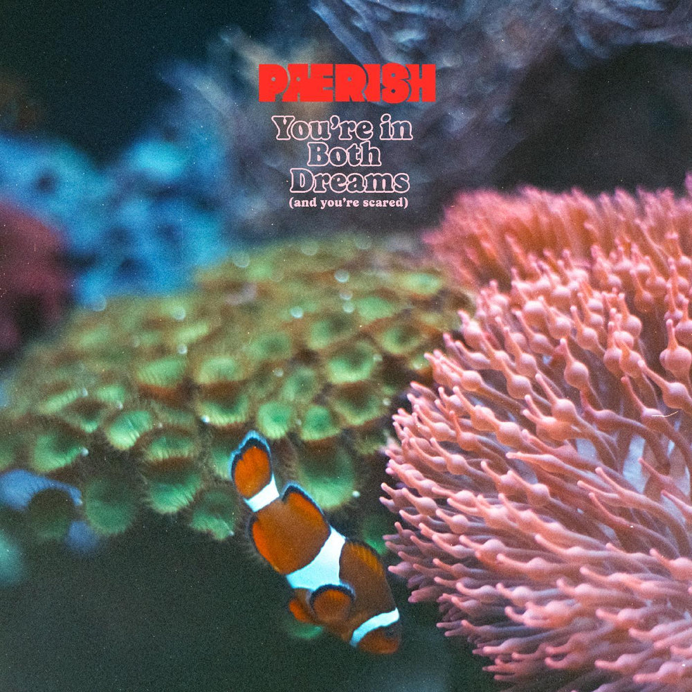 You're In Both Dreams (and You're Scared) [CD] (ONLINE ORDER ONLY)