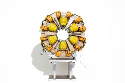 Aladdin Synchrotron Particle Accelerator Fragment — Authentic Cooling Coil Section