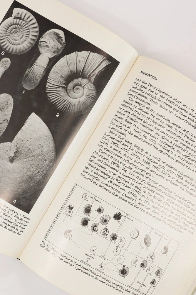 Patterns of Evolution (ONLINE ORDER ONLY)
