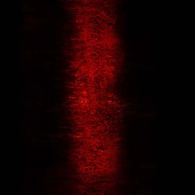 PAUL JEBANASAM - Rites [CD] (ONLINE ORDER ONLY)