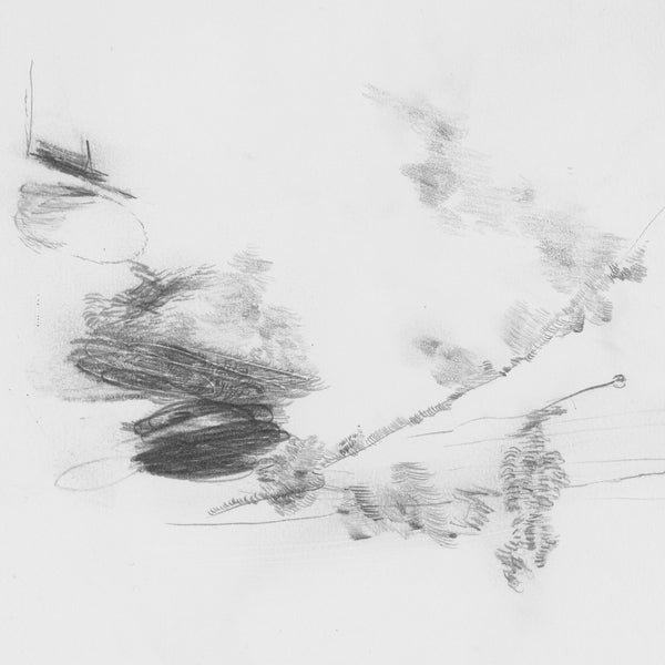The Air Outside Feels Crazy Right Now [Vinyl] (ONLINE ORDER ONLY)