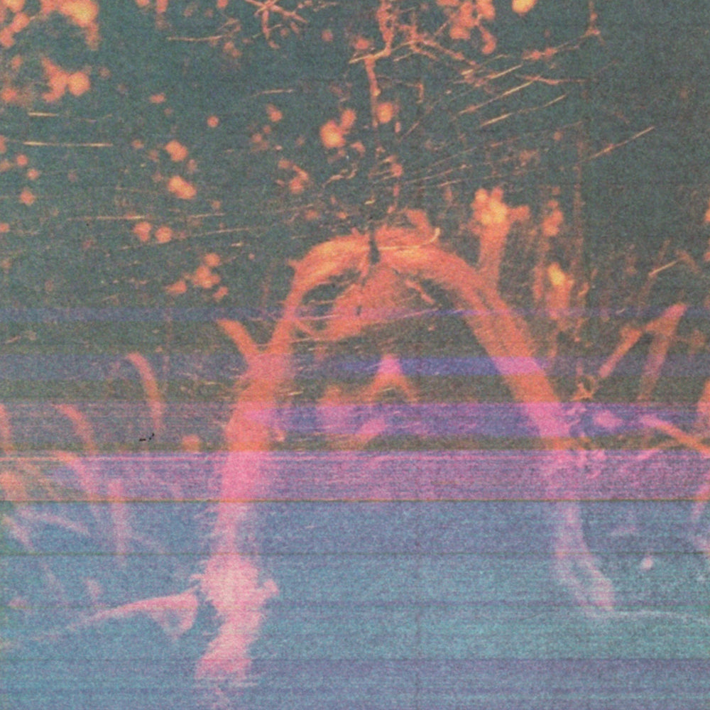 Peripheral Vision (10 Year Anniversary Deluxe Edition, 3LP - Ripple) [Vinyl]