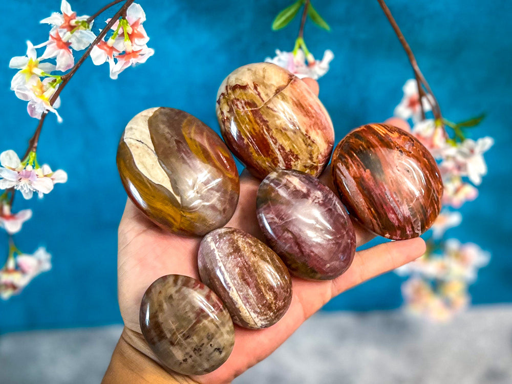 Petrified Wood Palm Stone (ONLINE ORDER ONLY)