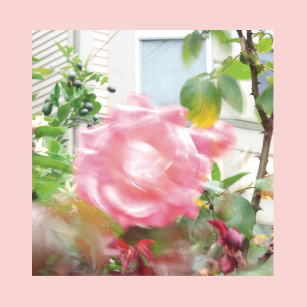 Summer At Land's End [CD]
