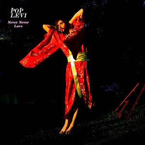 Never Never Love [CD]