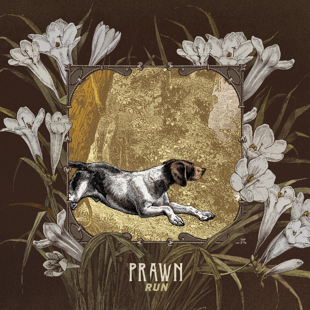Run [CD] (ONLINE ORDER ONLY)