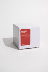 Preserved Dandelion (ONLINE ORDER ONLY)