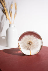 Preserved Dandelion (ONLINE ORDER ONLY)