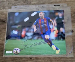 Andres Indiesta autographed 8x10 photo with coa (Online Order Only)