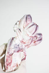 Purple Barnacle Specimen (ONLINE ORDER ONLY)