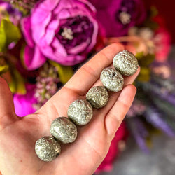 Pyrite Nodules, Rare Formation (ONLINE ORDER ONLY)