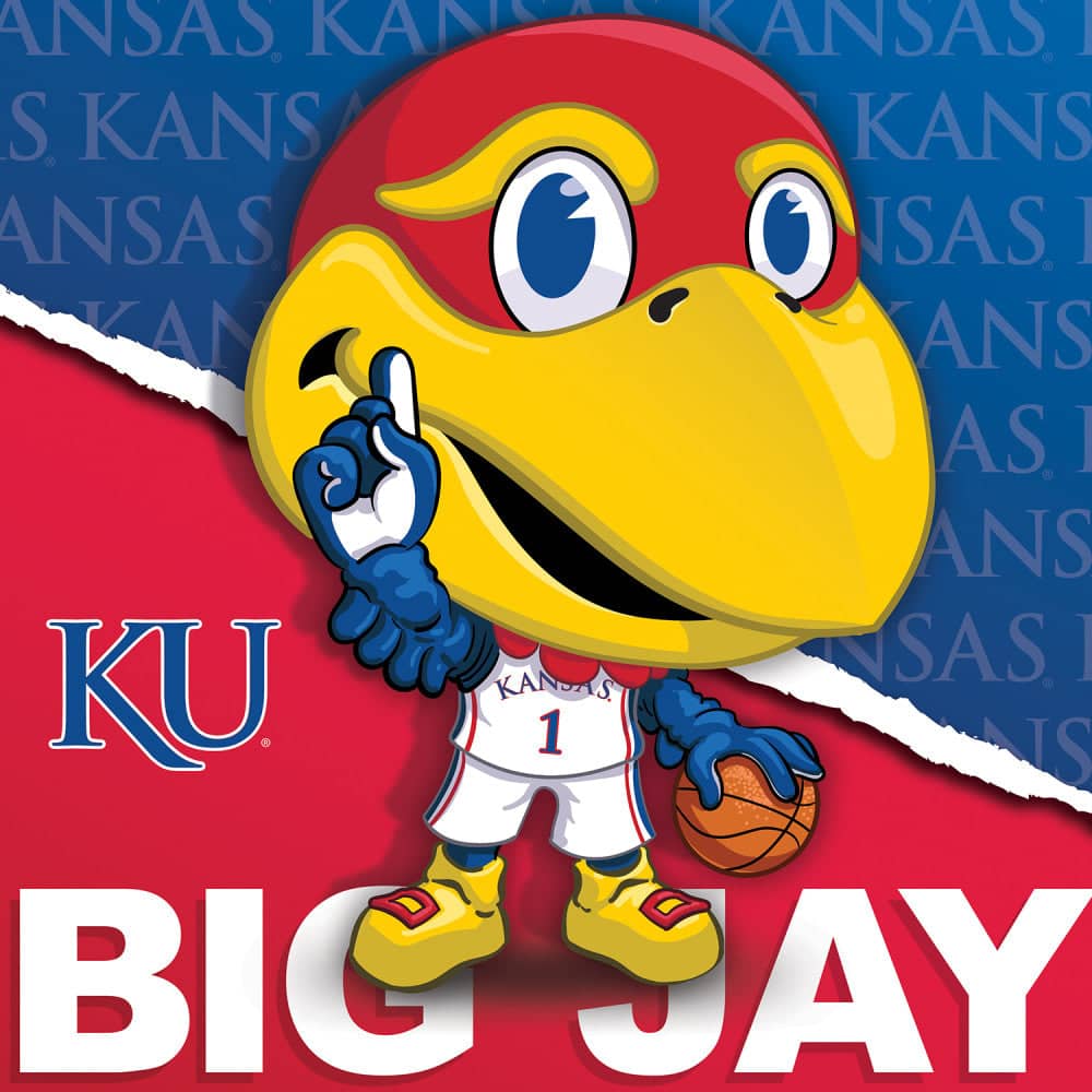 Kansas Jayhawks - NCAA Mascot 100 Piece Jigsaw Puzzle
