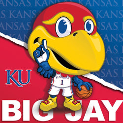 Kansas Jayhawks - NCAA Mascot 100 Piece Jigsaw Puzzle