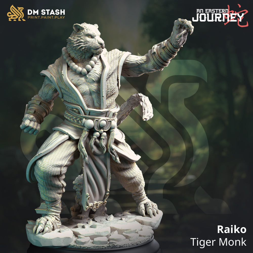 Raiko, Tiger Monk (Male Tabaxi Monk) (Online Only)