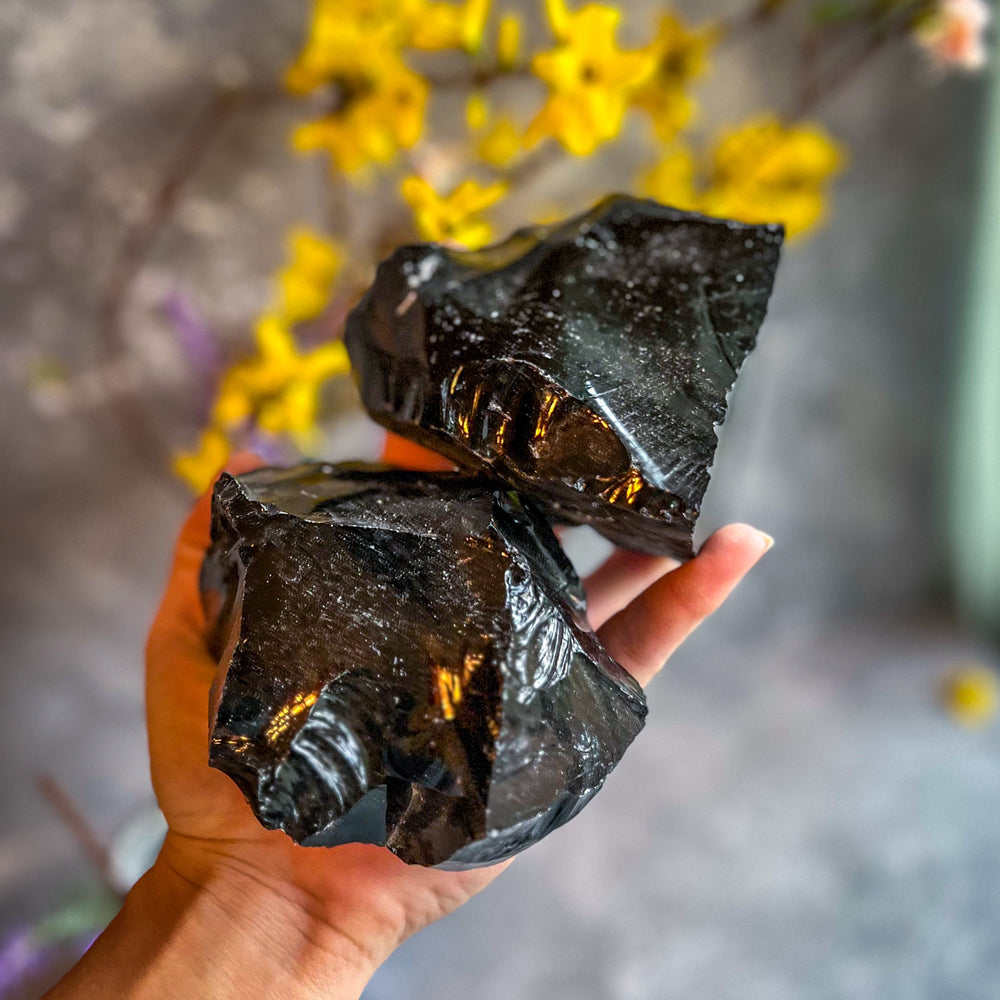 Raw Columbian Shungite (ONLINE ORDER ONLY)