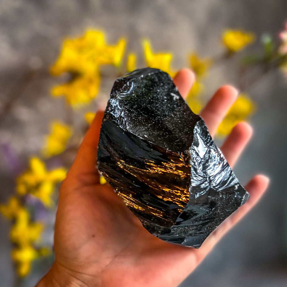 Raw Columbian Shungite (ONLINE ORDER ONLY)