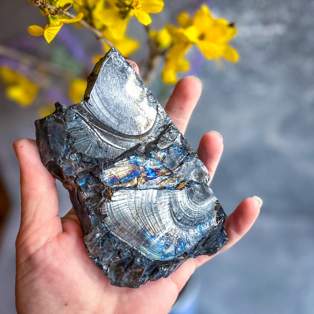 Raw Columbian Shungite (ONLINE ORDER ONLY)