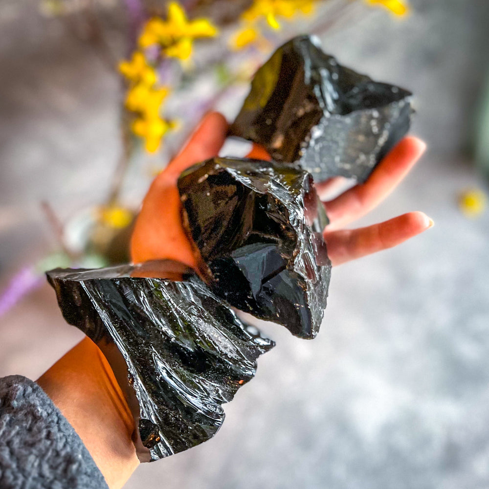 Raw Columbian Shungite (ONLINE ORDER ONLY)