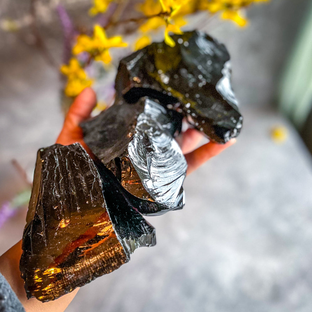 Raw Columbian Shungite (ONLINE ORDER ONLY)
