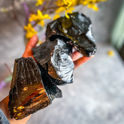 Raw Columbian Shungite (ONLINE ORDER ONLY)