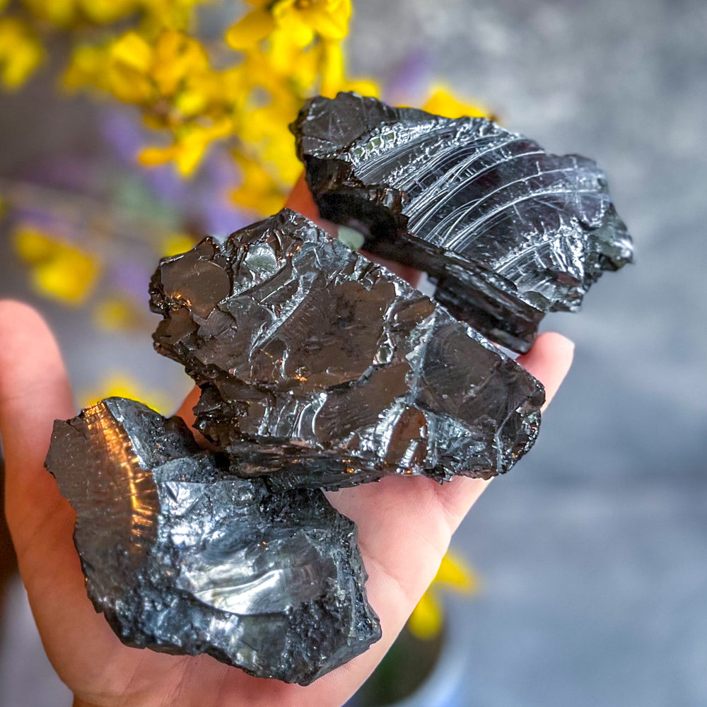 Raw Columbian Shungite (ONLINE ORDER ONLY)