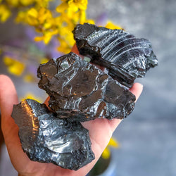 Raw Columbian Shungite (ONLINE ORDER ONLY)