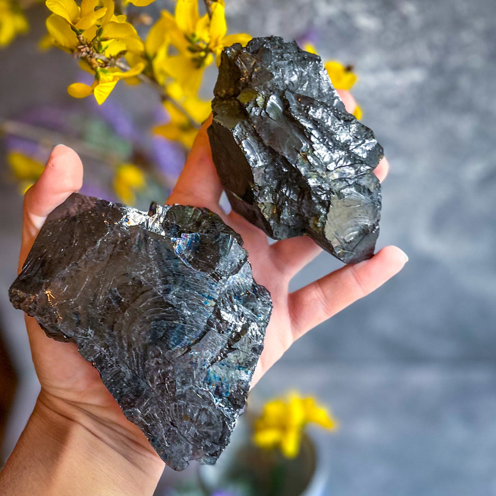 Raw Columbian Shungite (ONLINE ORDER ONLY)