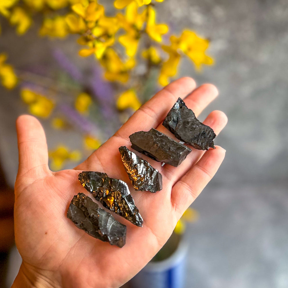 Raw Columbian Shungite (ONLINE ORDER ONLY)