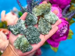 Raw Dark Green Prehnite Specimens (ONLINE ORDER ONLY)