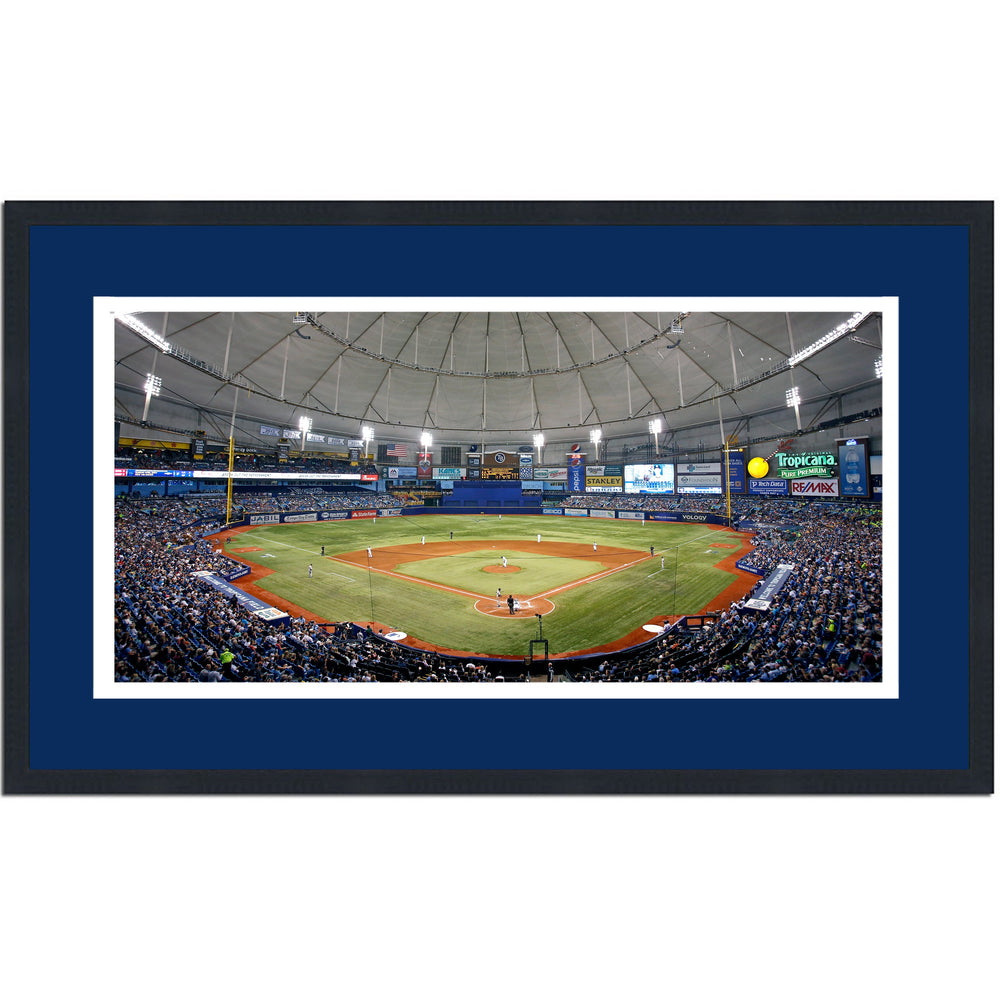 Framed Tropicana Field Tampa Bay Rays MLB 16x24 Baseball Photo Professionally Matted