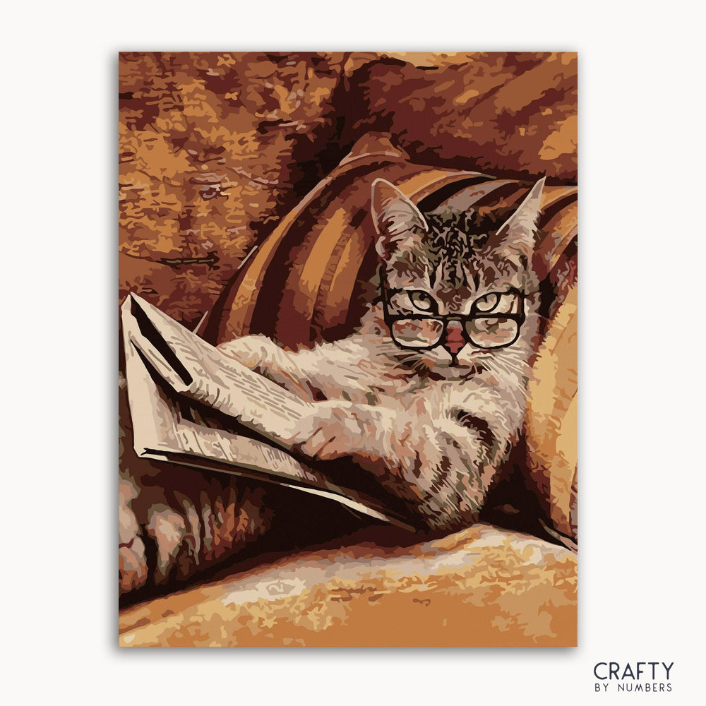 Reading Cat