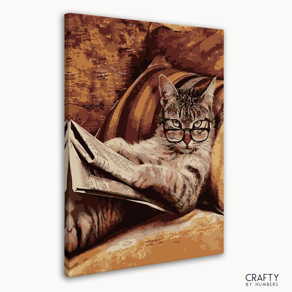 Reading Cat