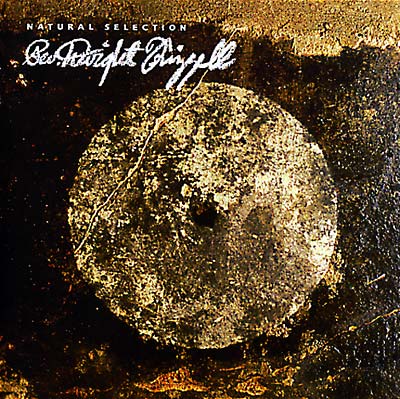 REV. DWIGHT FRIZZELL - Natural Selection [CD] (ONLINE ORDER ONLY)