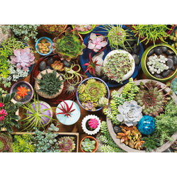 Puzzle: Succulents