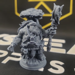 Elki, the Wanderer (Male Tortle Cleric) (Online Order Only)