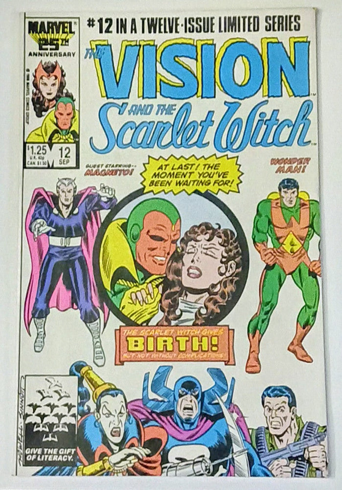 Marvel Comics: Vision and the Scarlet Witch V2 #12 (ONLINE ORDER ONLY)