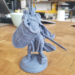 Caedes, Erdydion's Chosen Paladin (Male Paladin) (Online Only)