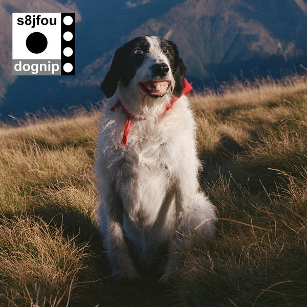 Dognip [Vinyl] (ONLINE ORDER ONLY)