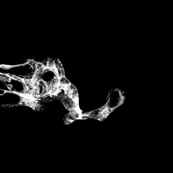 Tourette [CD] (ONLINE ORDER ONLY)