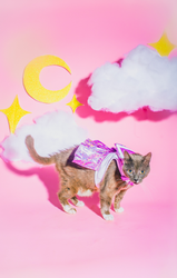 046 // INU-CHAN (ONLINE ORDER ONLY)