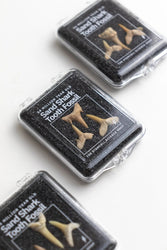 Sand Shark Tooth Fossil (ONLINE ORDER ONLY)