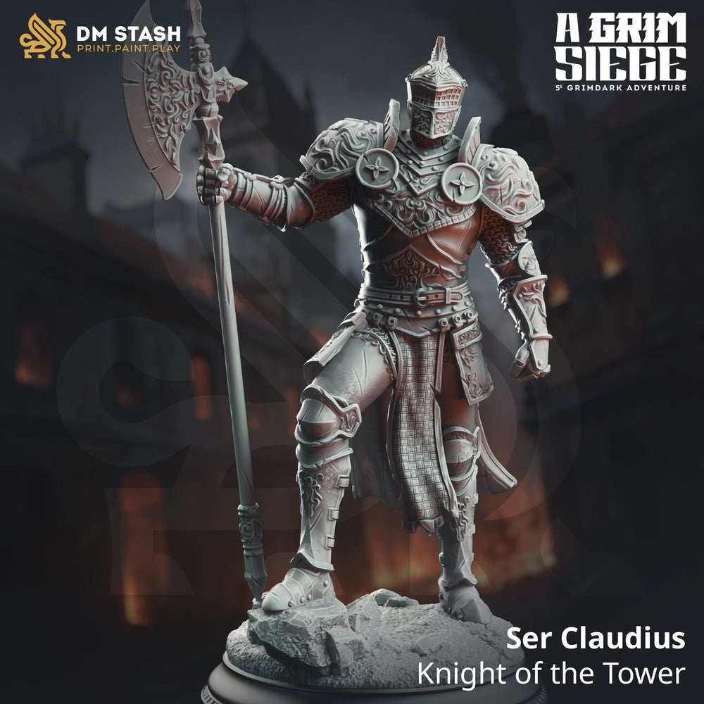 Ser Claudius, Knight of the Tower (Male Human Paladin) (Online Only)