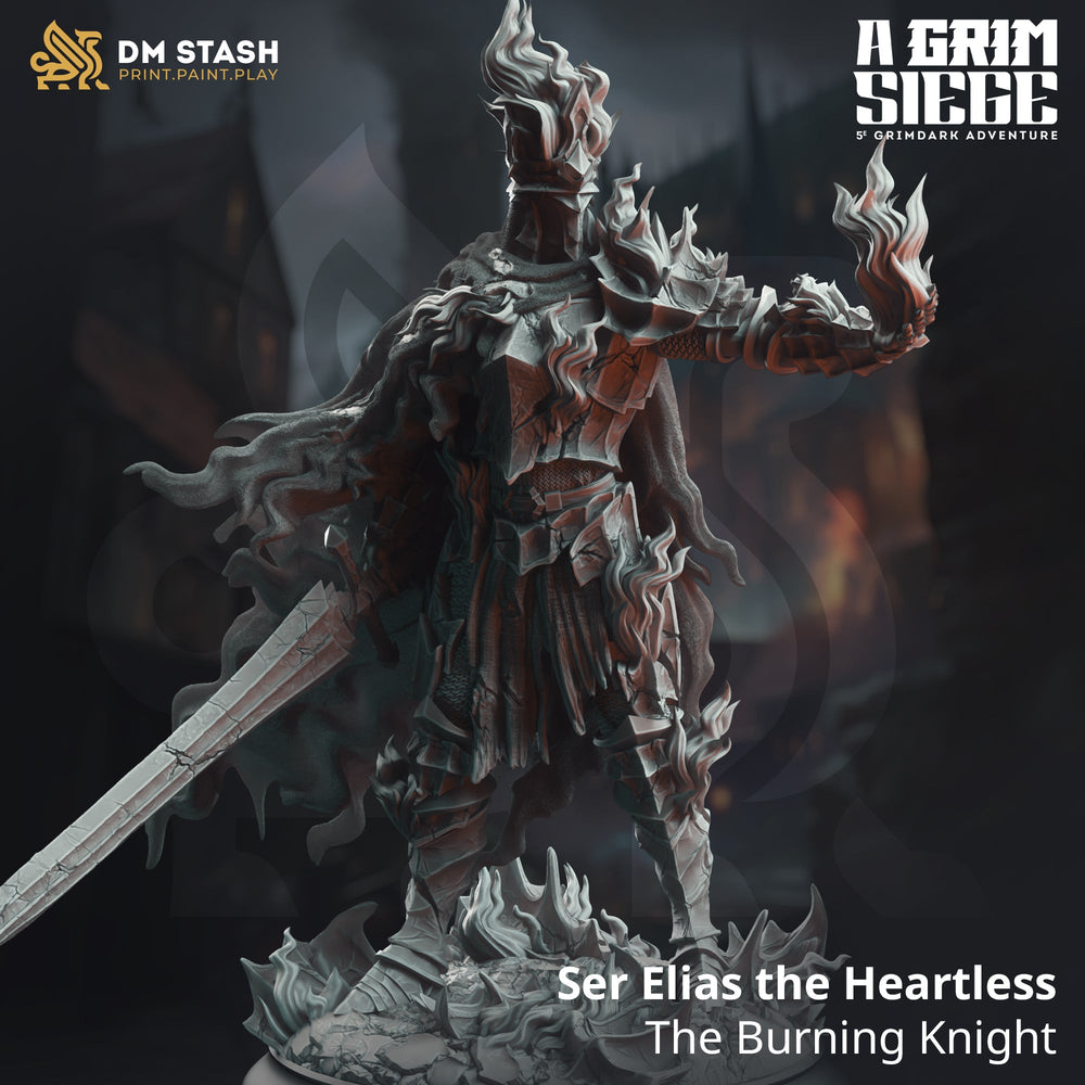 Ser Elias the Heartless, The Burning Knight (Male Human Cursed Paladin) (Online Order Only)