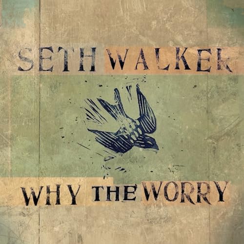 Why The Worry [CD] (ONLINE ORDER ONLY)
