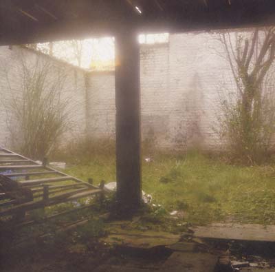 SHKVAL - Slow Death Process [Vinyl]