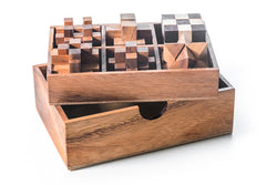 6 STEM Puzzle Gift Set - Wooden Puzzle Brain Teaser