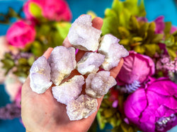 Ethically Sourced Spirit Amethyst Quartz Clusters, Cactus Quartz (ONLINE ORDER ONLY)