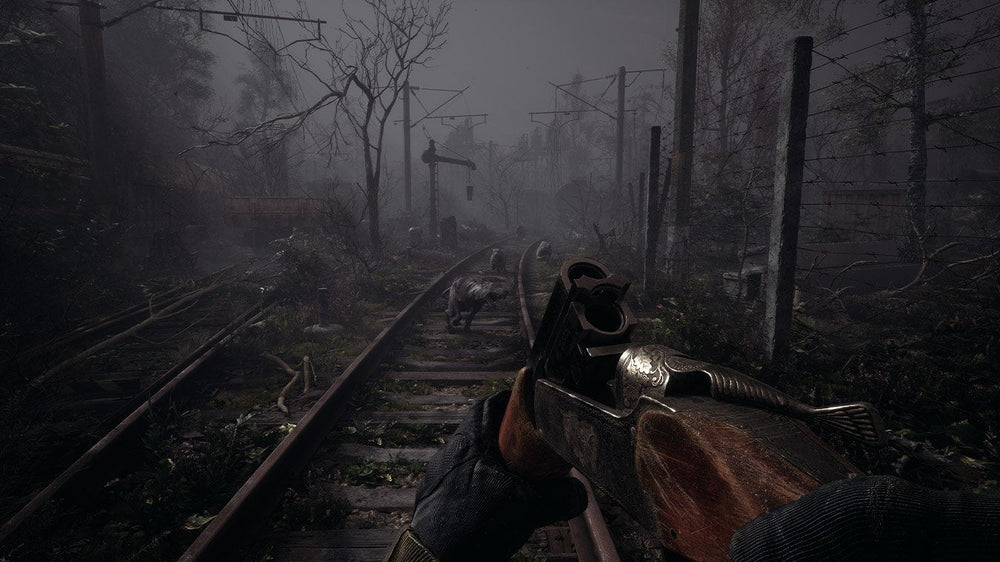 S.T.A.L.K.E.R. 2: Heart of Chornobyl Standard Edition - PC (ONLINE ORDER ONLY)