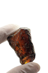 Sumatran Amber (ONLINE ORDER ONLY)